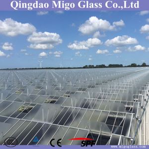 Difusa vidre utilitzat com a hivernacle vidre sostres i parets laterals