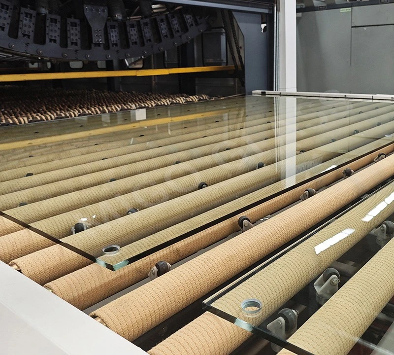 safety tempered padel glass safety tempered padel glass